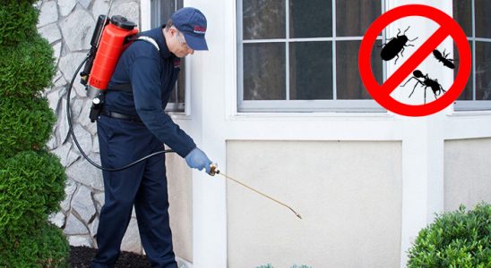 Hacılar Fare İlaçlama böcek ilaçlama ve haşere kontrolü — ilaclama-tr.com
